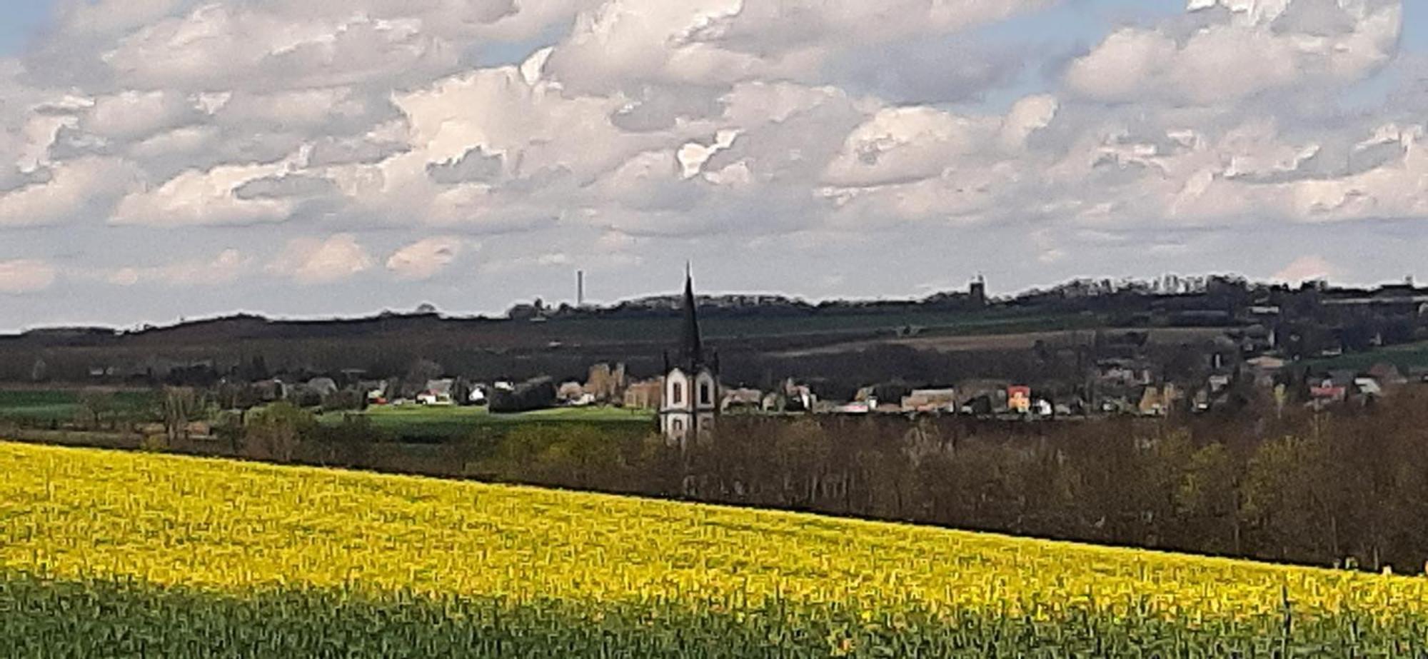 Ferienwohnung Im Gruenen Muldental Langenbach  المظهر الخارجي الصورة
